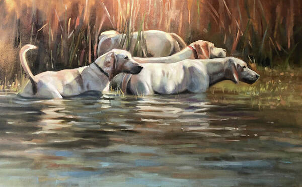 Hounds Dogs Painting Portrait Foxhounds Water Contemporary Poster featuring the painting Skinny Dipping by Susan Bradbury