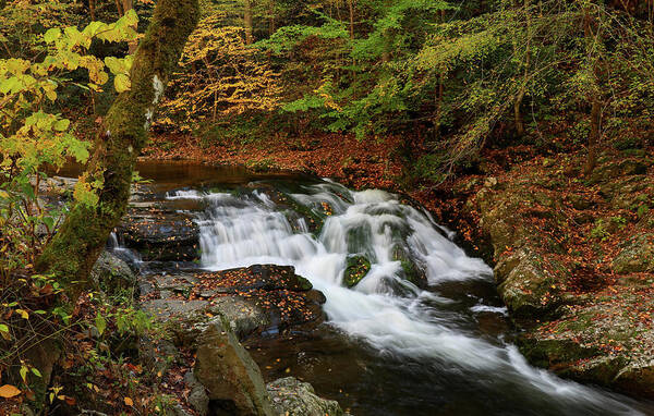 Smoky Mountains Waterfall In Autumn Poster featuring the photograph Smoky Mountains Waterfall In Autumn by Dan Sproul