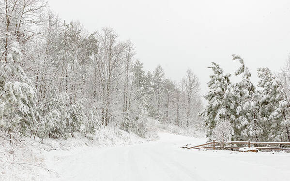 Fence Poster featuring the photograph Snowy Country Road by Joni Eskridge