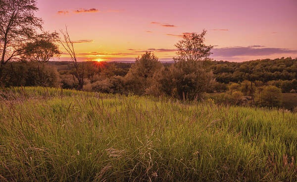 Sunset Poster featuring the photograph Sunset with a Grassy View by Jason Fink