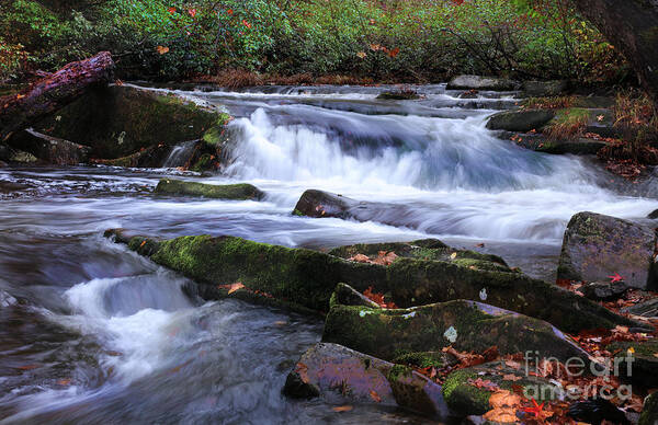 Tellico River Poster featuring the photograph Tellico Moment by Rick Lipscomb