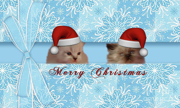 Christmas Poster featuring the photograph The Kitten Presents by Elaine Manley