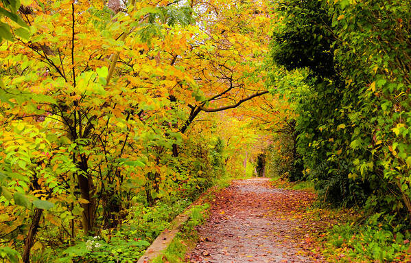 Towpath Poster featuring the photograph Towpath Lambertville NJ by Elsa Santoro