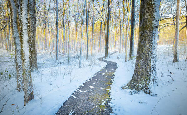 Snow Day Poster featuring the photograph Tupelo Mississippi Snow Natchez Trace Parkway Sunrise by Jordan Hill