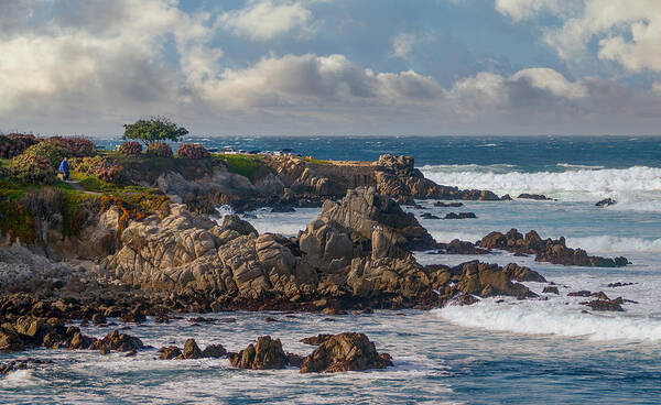 Pacific Grove Poster featuring the photograph Watching Winter Waves by Derek Dean