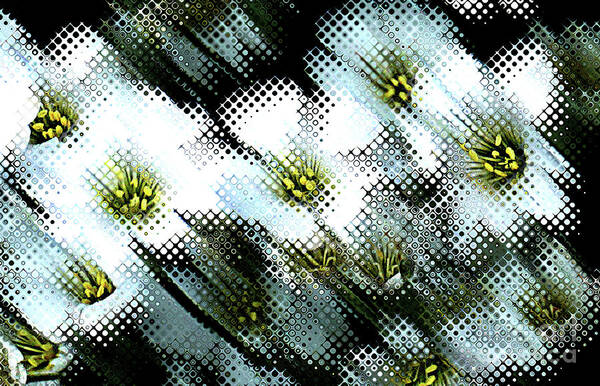 Abstract Poster featuring the digital art White Daisy Bubbles by Deb Nakano