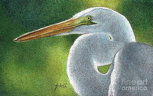 White Egret Poster featuring the drawing White Elegance by Sheryl Unwin