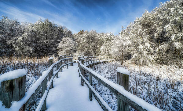 Madison Poster featuring the photograph Winter Boardwalk by Brad Bellisle