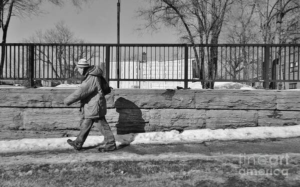 Street Photography Poster featuring the photograph Winter Walk by Reb Frost