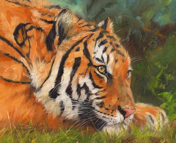 Tiger Poster featuring the painting Amur Tiger #3 by David Stribbling