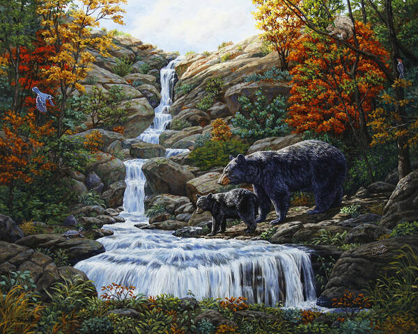 Bear Poster featuring the painting Black Bear Falls by Crista Forest