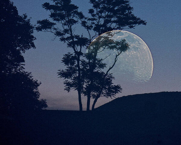 Moon Poster featuring the photograph Moon with Trees by Jodie Marie Anne Richardson Traugott     aka jm-ART