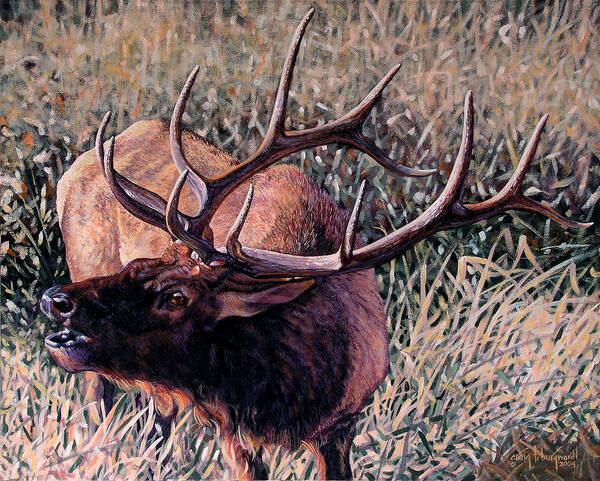 Elk Poster featuring the painting Bugle Boy by Craig Burgwardt