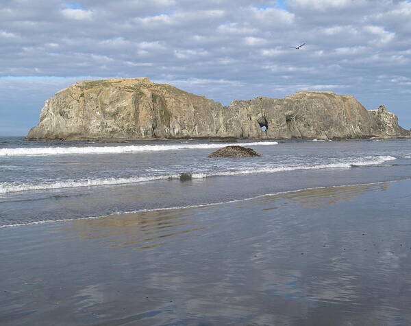 Elephant Rock Poster featuring the photograph Elephant Rock Blues by Suzy Piatt