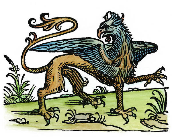 1533 Poster featuring the painting Griffin, 1533 #1 by Granger