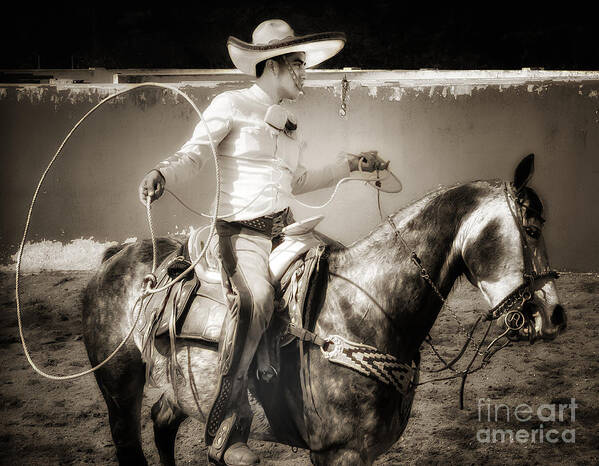 Cowboy Poster featuring the photograph Lasso Artist #2 by Barry Weiss