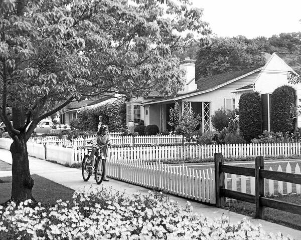 1950 Poster featuring the photograph Middle Class Homes #2 by Underwood Archives