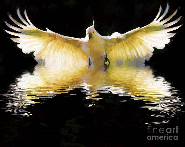 Abstract Poster featuring the photograph Sulphur crested cockatoo in flight #1 by Sheila Smart Fine Art Photography