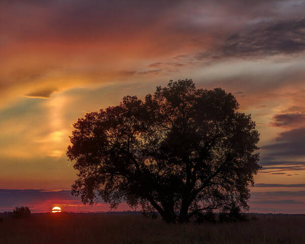 Kansas Poster featuring the photograph Light pillar and cottonwood #2 by Rob Graham