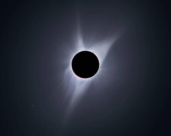 Sun Poster featuring the photograph 2017 Total Solar Eclipse by Tony & Daphne Hallas/science Photo Library