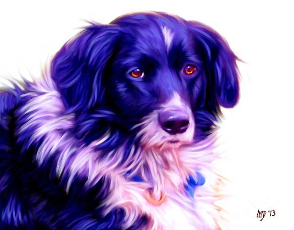 Dog Paintings Poster featuring the painting Border Collie #4 by Iain McDonald