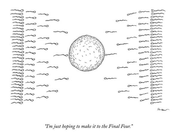 March Madness Poster featuring the drawing A Number Of Sperms Approach An Egg In The Shape by Michael Shaw
