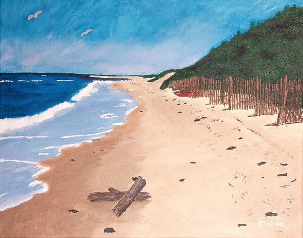 Ocean Beach Poster featuring the painting A Walk In Nantucket by Cynthia Morgan