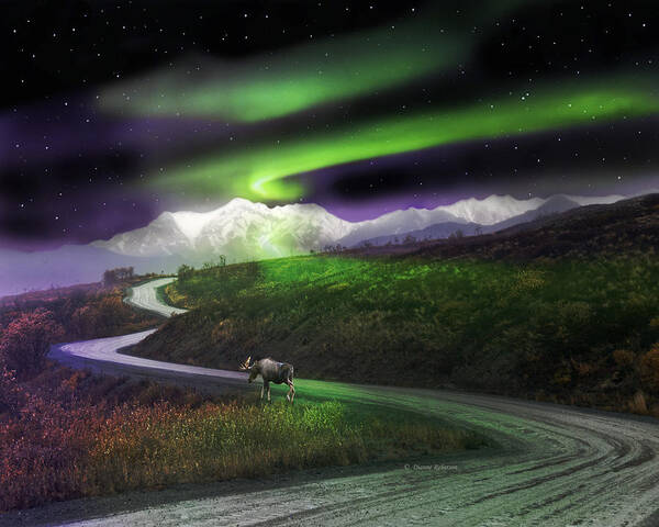 Alaska Poster featuring the digital art Alaska Aurora Denali Highway  # DA 140 by Dianne Roberson