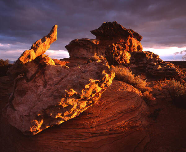 Navajo Nation Poster featuring the photograph Alient Rocks by Ray Mathis