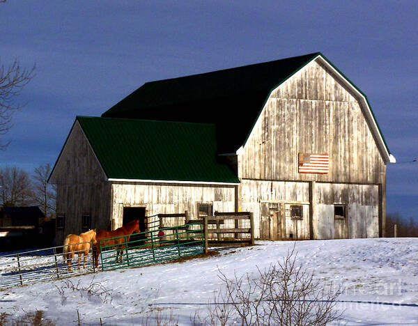 America Poster featuring the photograph American Barn by Desiree Paquette
