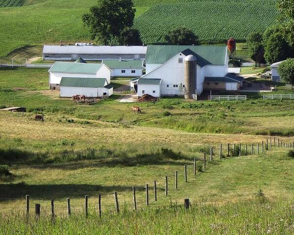 Amish Poster featuring the photograph Amish Farm by Steve Ondrus