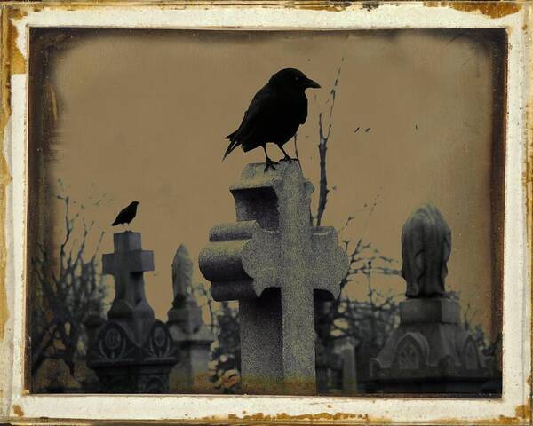 Old Style Image Poster featuring the photograph Dark Aged Crow Graveyard by Gothicrow Images