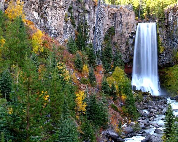 Fall Color Landscape Poster featuring the photograph Autumn Colors Surround Tumalo Falls by Kevin Desrosiers