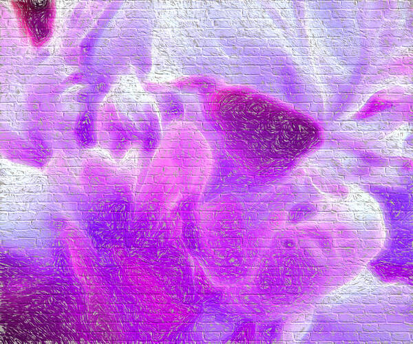 Flowers Poster featuring the digital art Bathed in purple by Cathy Anderson