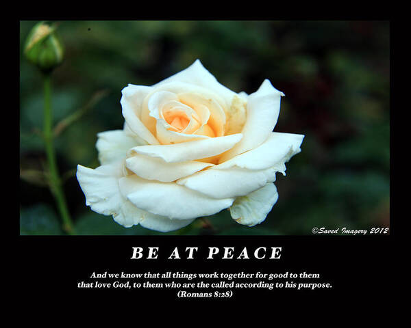  Poster featuring the photograph Be At Peace by Lawrence Lauray