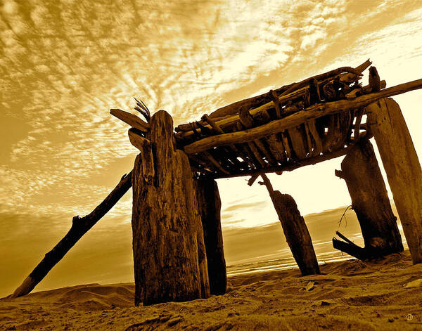 Pacific Ocean Poster featuring the photograph Beach Shed by Gary Olsen-Hasek