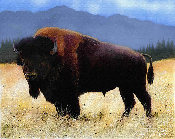 Buffalo Poster featuring the painting Big Bison by Robert Foster