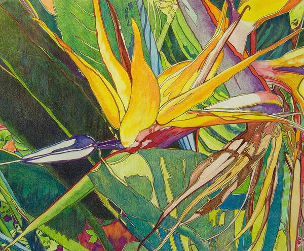 Landscape Poster featuring the drawing Bird of Paradise by Terry Holliday