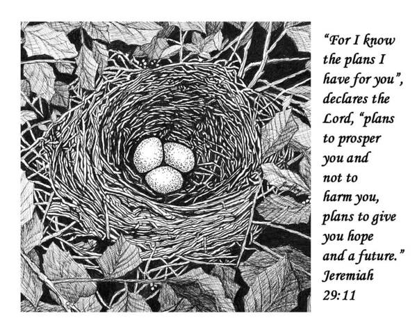 Bird's Nest Poster featuring the drawing Bird's nest with scripture by Janet King