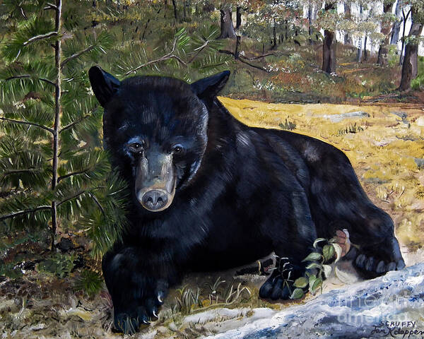 Black Bear Poster featuring the painting Black Bear - Scruffy - Signed by Artist by Jan Dappen