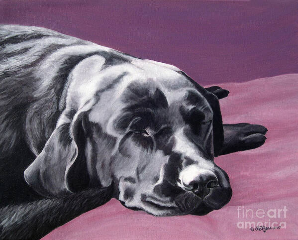 Dog Poster featuring the painting Black Labrador Beauty Sleep by Amy Reges
