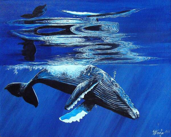 Humpback Whale Poster featuring the painting Blue by Wade Geilow