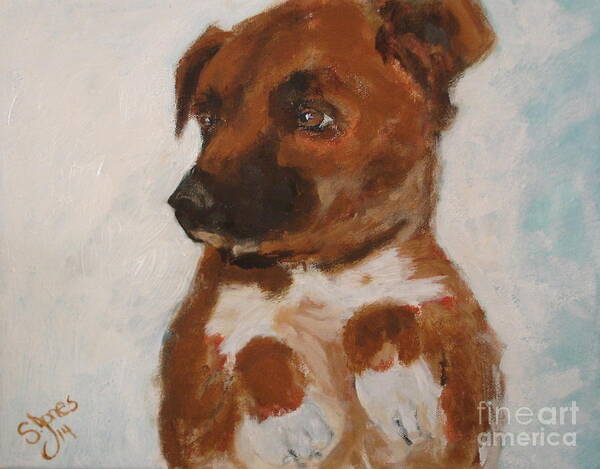 Dog Poster featuring the painting Bo Jack by Shelley Jones