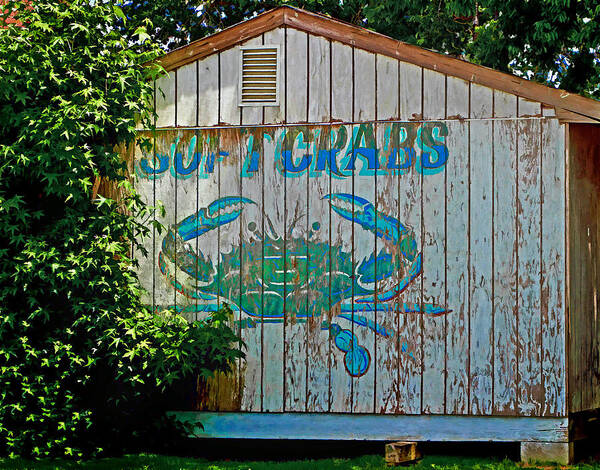 Crab.crabs Poster featuring the photograph Buckroe Crab Shack by Jerry Gammon
