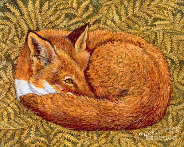 Fox Poster featuring the painting Cat Napping by Ditz
