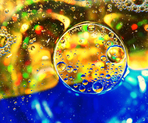 Bubble Poster featuring the photograph Cellular 3 by Laurie Tsemak