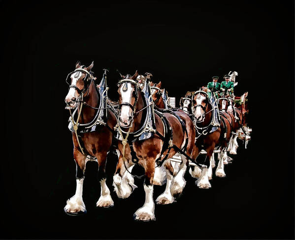 Clydesdales Poster featuring the photograph Clydesdales Hitch by Constantine Gregory