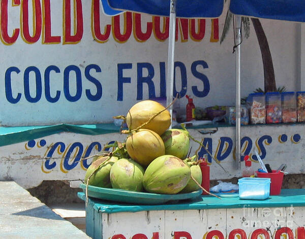 Coconuts Poster featuring the photograph Coconuts - Mazatlan by Cheryl Del Toro