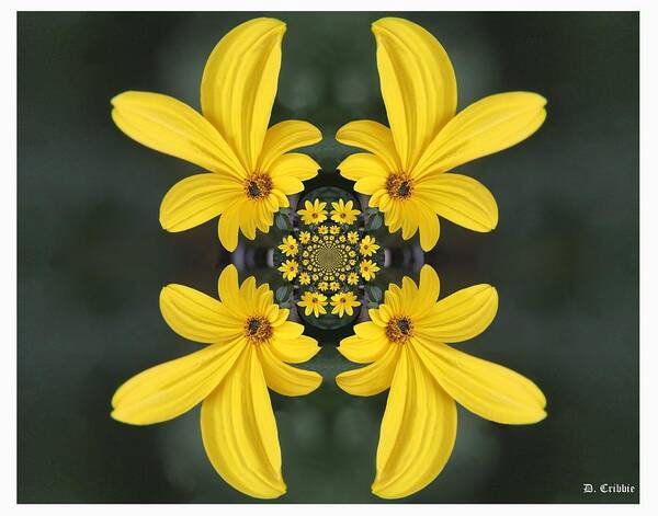 Flower Poster featuring the photograph Color of Springtime by Davandra Cribbie