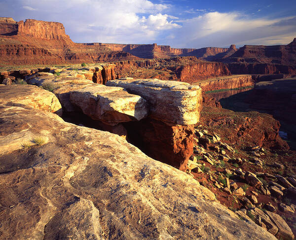 National Park Poster featuring the photograph Colorado River Overlook by Ray Mathis